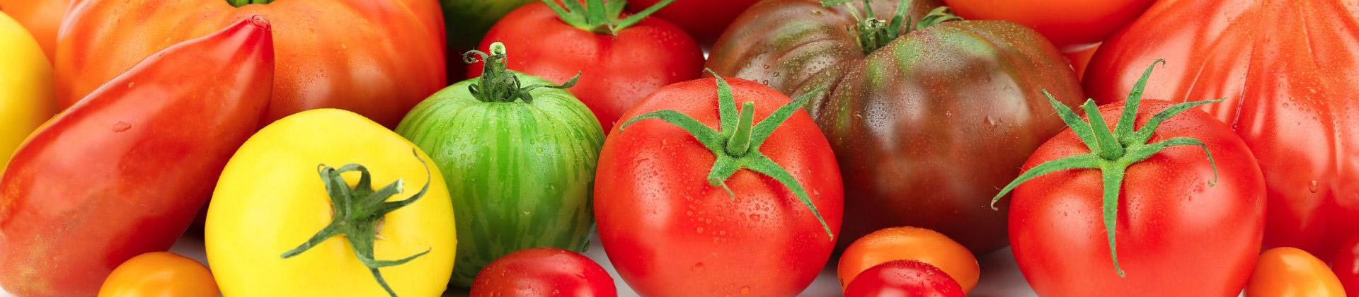 Tomaten